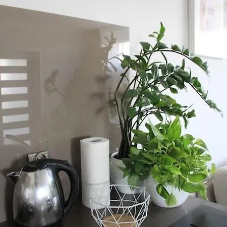 Uroczy, Jasny Apartament Oraz Bezplatny Parking! *