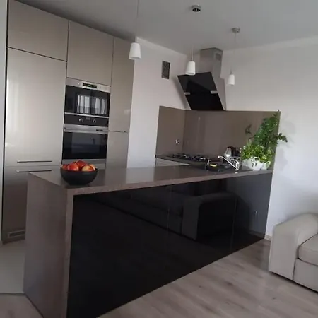 Uroczy, Jasny Apartament Oraz Bezplatny Parking! アパート クラクフ